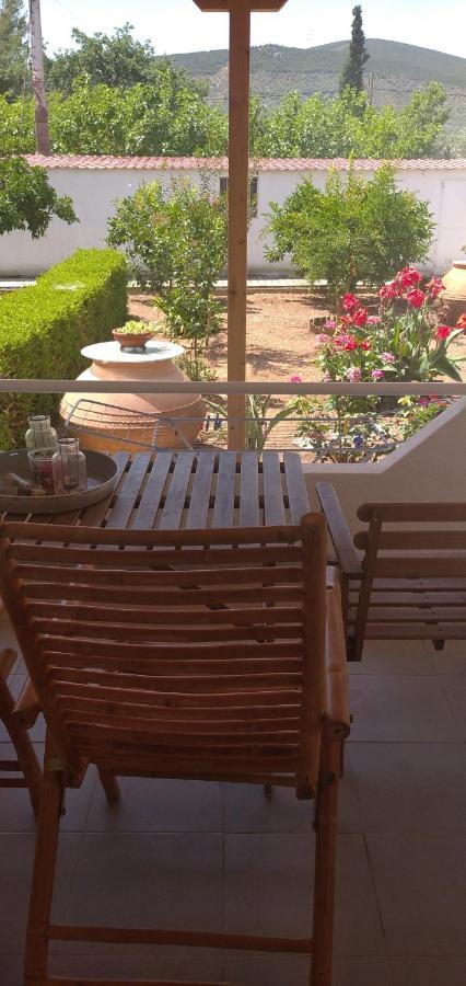 Δωματια Ξανθουλα Xanthoyla Rooms Amaliápoli Exterior foto